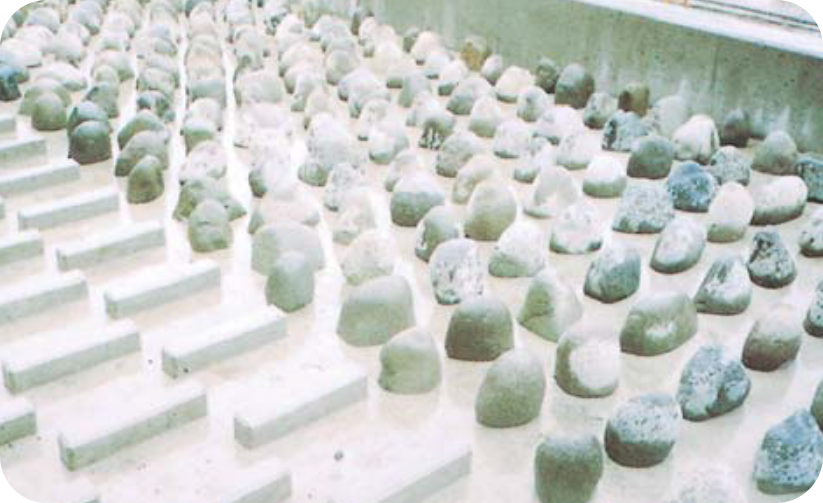 粗石付斜路式魚道